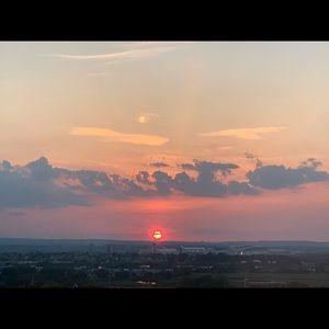 Meet your Posher, Elvis